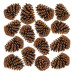 Pinha De Natal Natural Enfeite 20un Pinus Shopping Vitrinism Marrom
