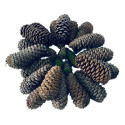 Kit 20 Pinha Natural Natal Enfeite Decoração Árvore De Natal Madeira Natural